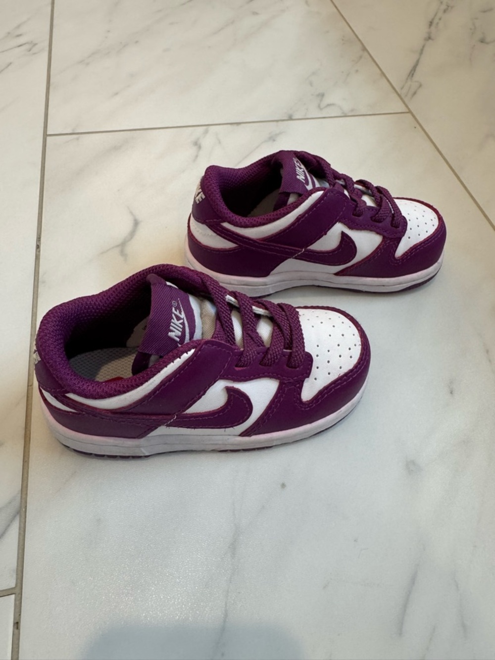 Nike Dunk Low Kids Purple and White Low-Top Sneakers with Lace-Up Closure